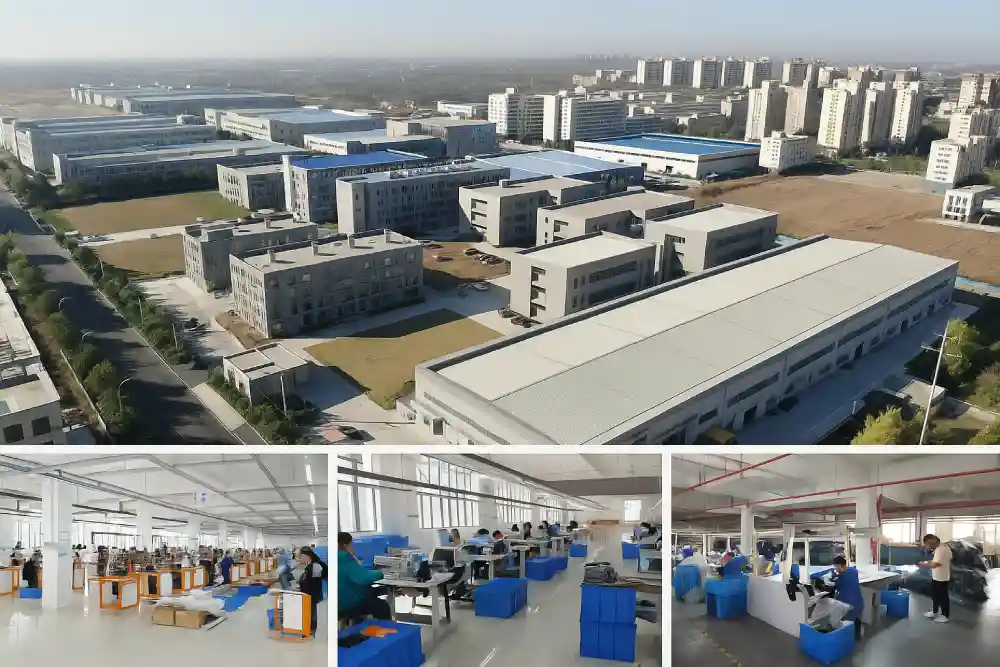 shandong zhongzhi health Real view of the workshop & overhead